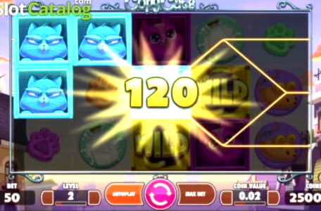 195% Uvítací bonus v Rizk Casino